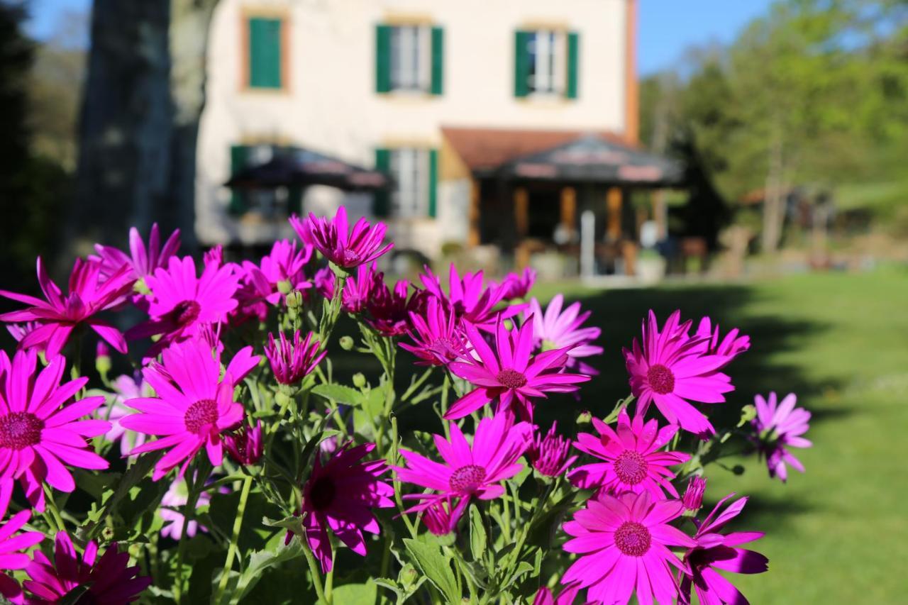 Le Bonnet De Nuit Bed & Breakfast Chalmoux ภายนอก รูปภาพ
